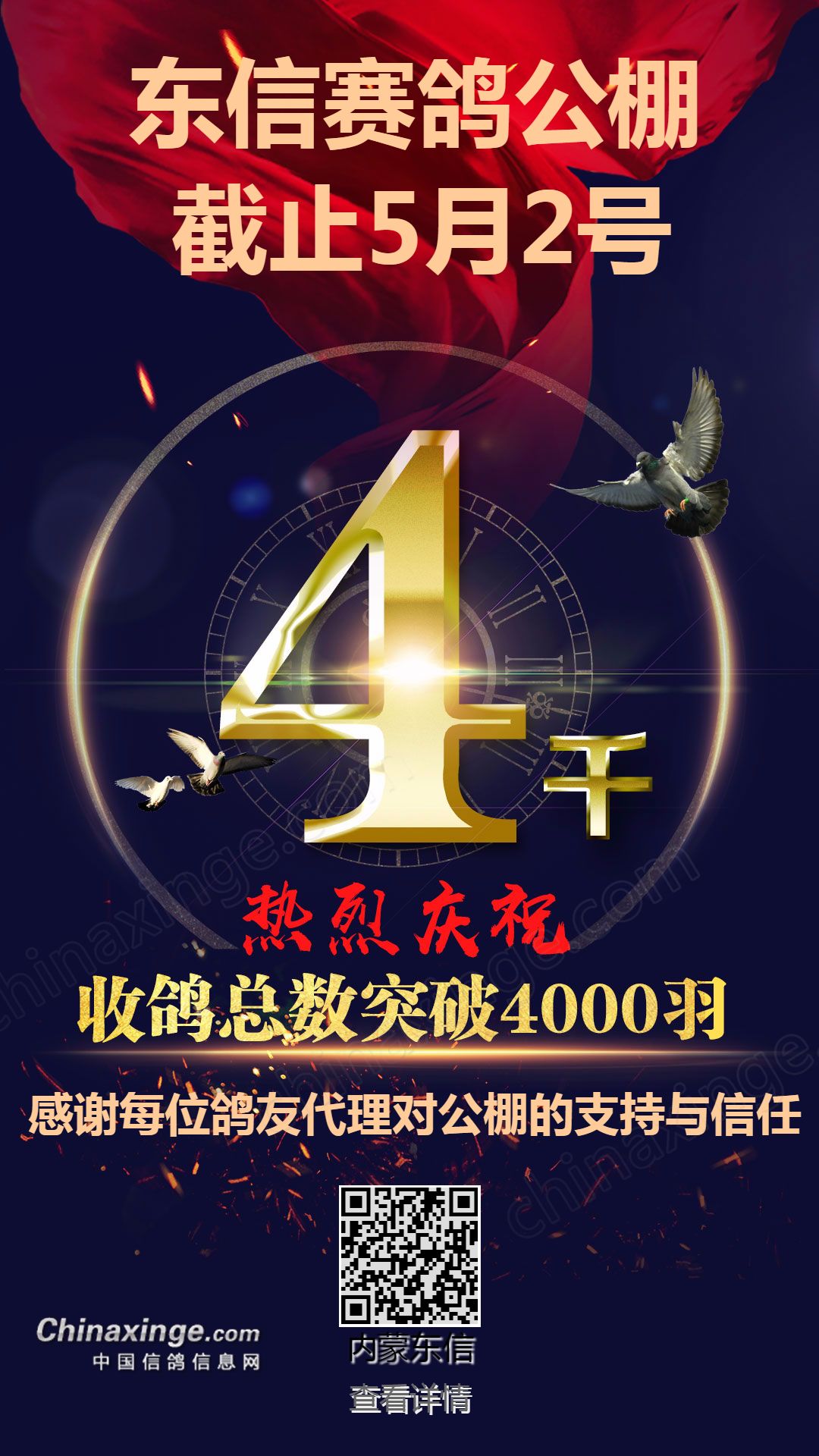 东信赛鸽公棚最新公告,专家解答解释定义_终极版18.46.68