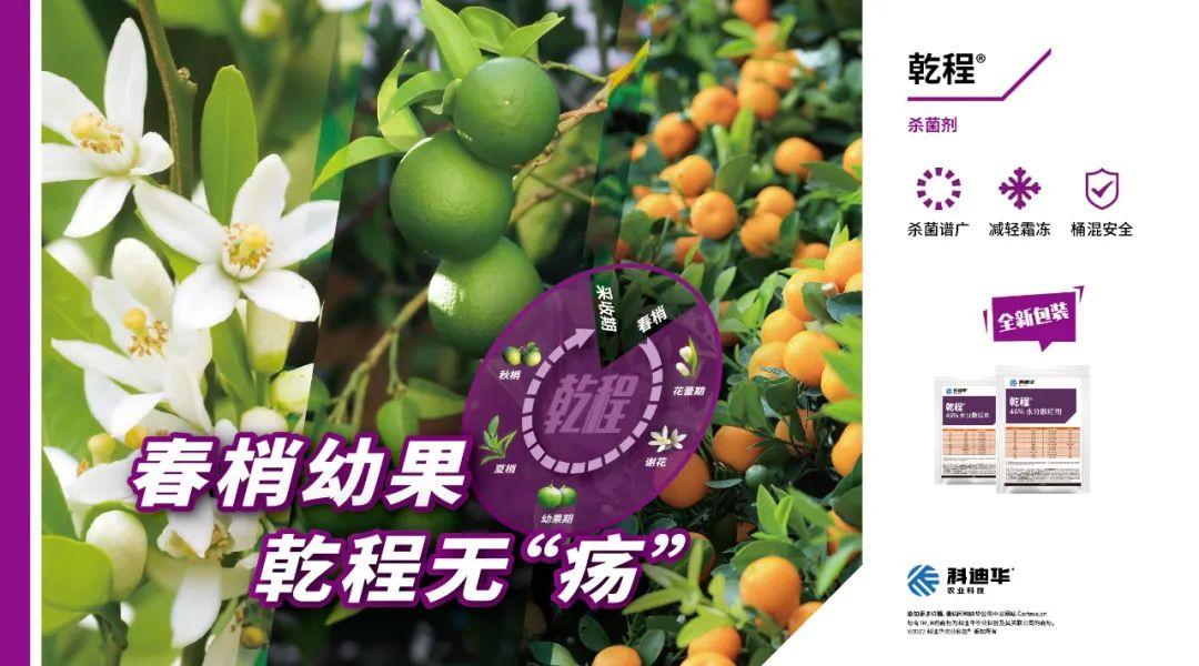 纯苯价格最新价格,连贯方法评估_特供款36.39.95