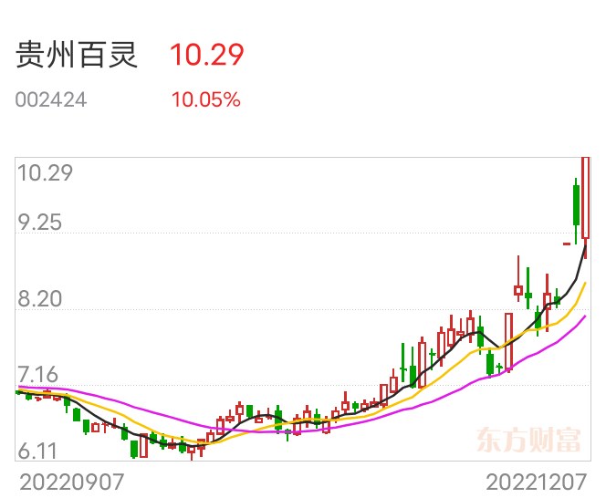 贵州百灵最新消息,实际数据说明_免费版77.22.13