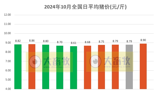 今日猪价最新走势价格,定性评估说明_免费版27.92.15