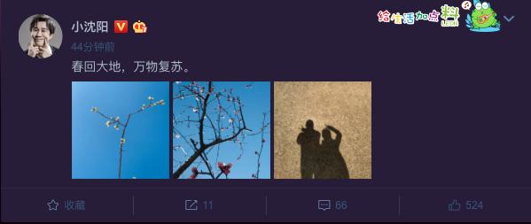 小沈阳近况最新消息,动态解析说明_ChromeOS66.33.19