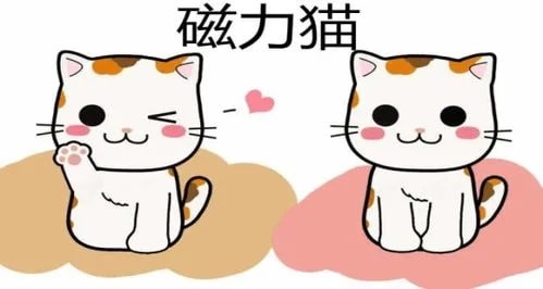 磁力猫最新版地址,全面数据解析执行_特别款37.75.36