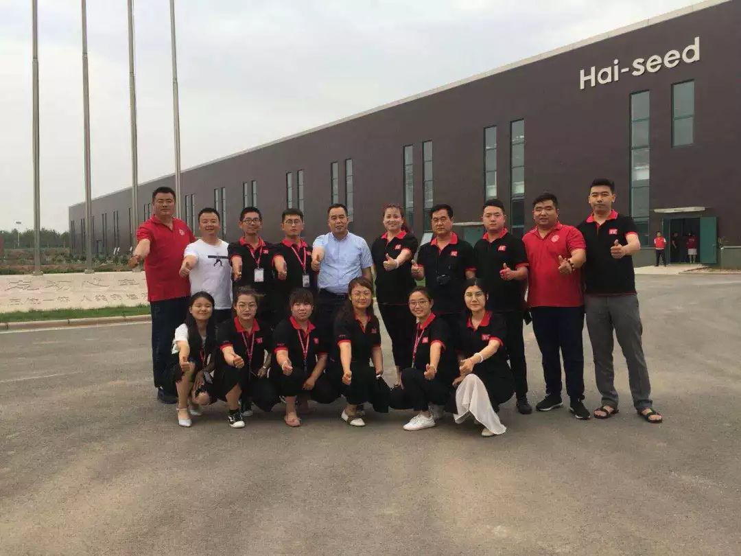徐水招聘网最新招聘,持久设计方案_视频版34.64.90