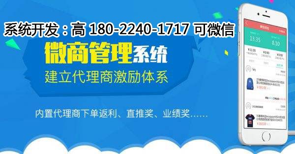 2024年正版管家婆最新版本,策略调整改进_量身定制版95.855
