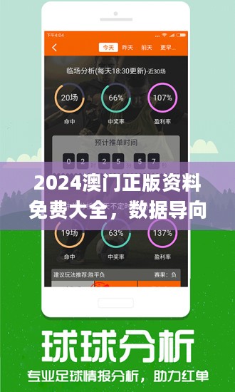 2024新澳精准正版资料,快速处理计划_亲和版95.926