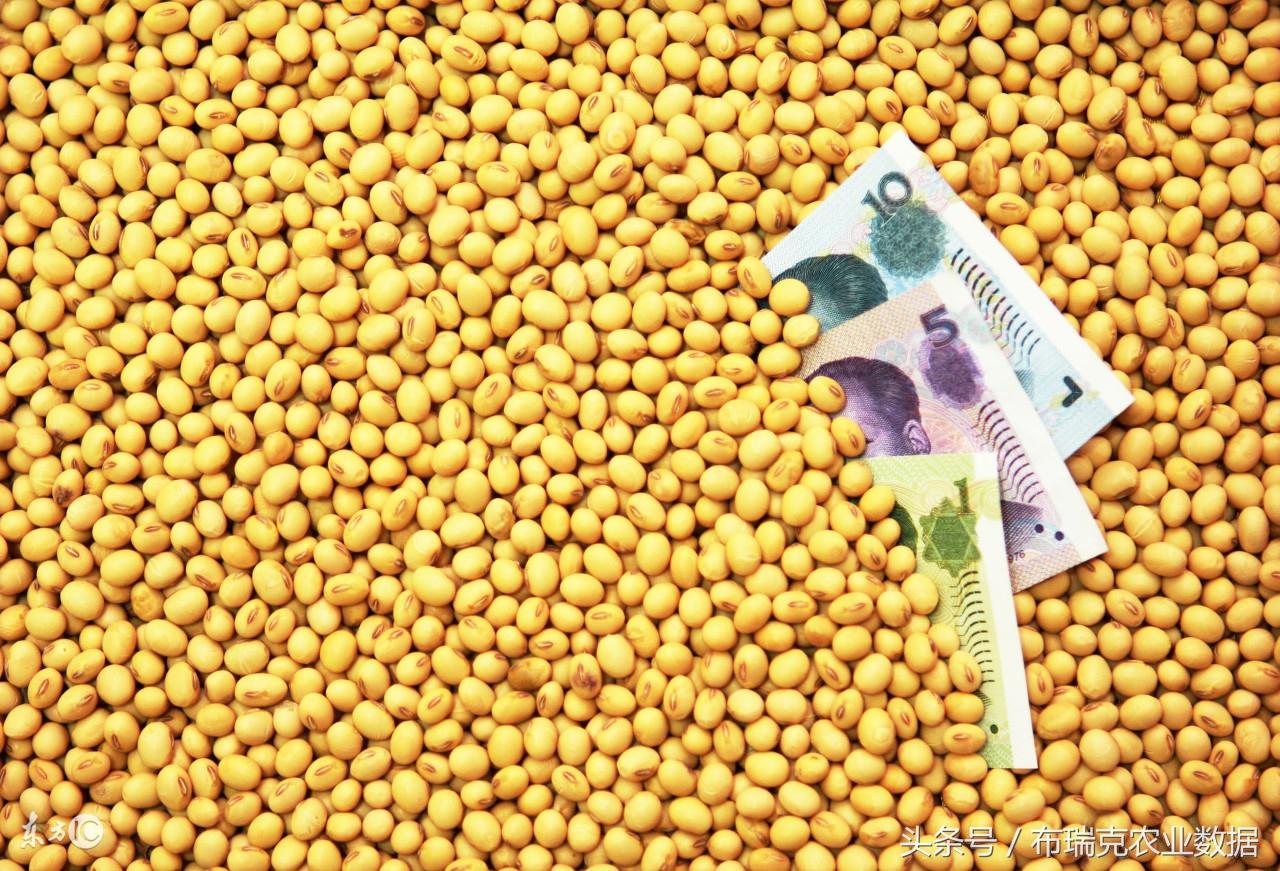 黑龙江大豆价格最新行情,专家解析说明_优选版47.61.21