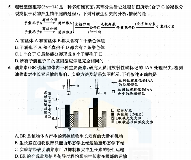 凸轮分割器 第147页