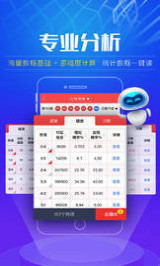 2024澳门天天开好彩大全开奖结果,全面数据分析_实用版95.545