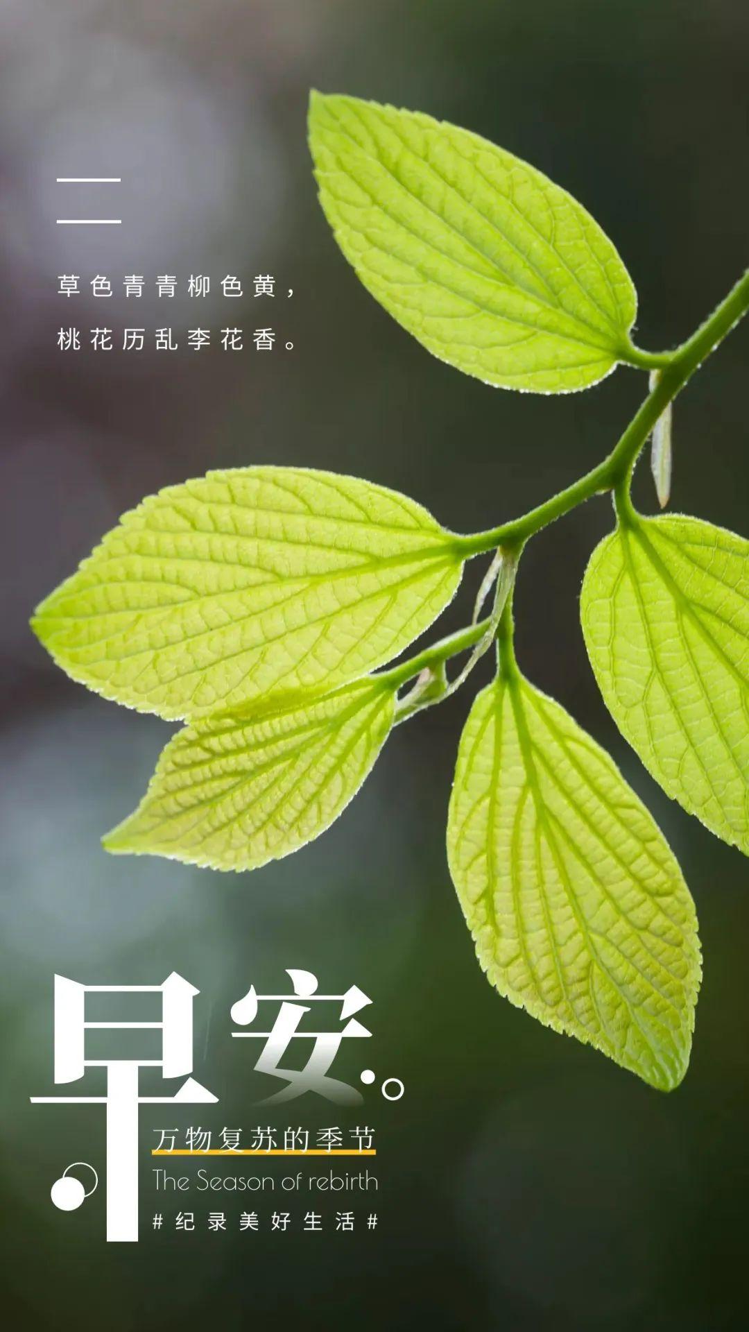 最新最火语录,动态解读说明_vShop76.70.52