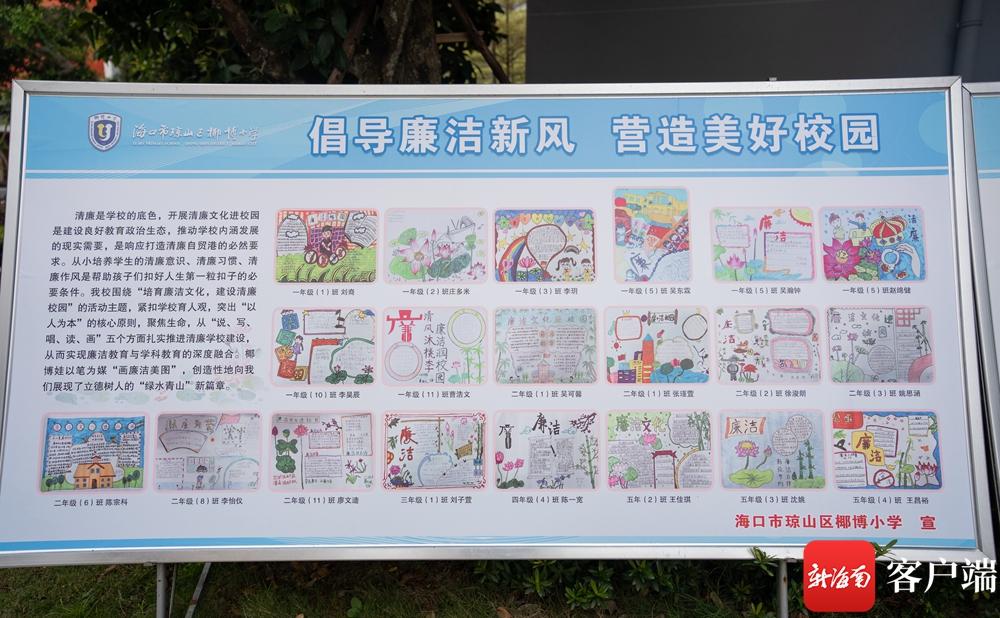 钉钉之歌最新,实地验证分析数据_交互版53.80.34