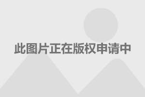 超薄平台桌面型(DA) 第101页