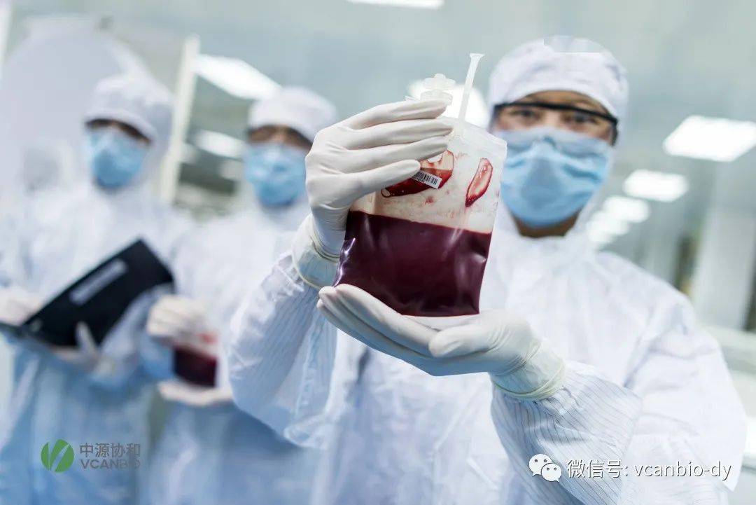 脐带血最新,创造性方案解析_MR95.72.37