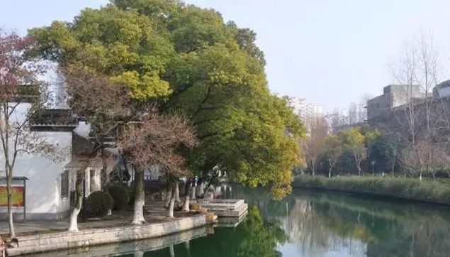 景步国最新,实地分析验证数据_冒险款74.20.80