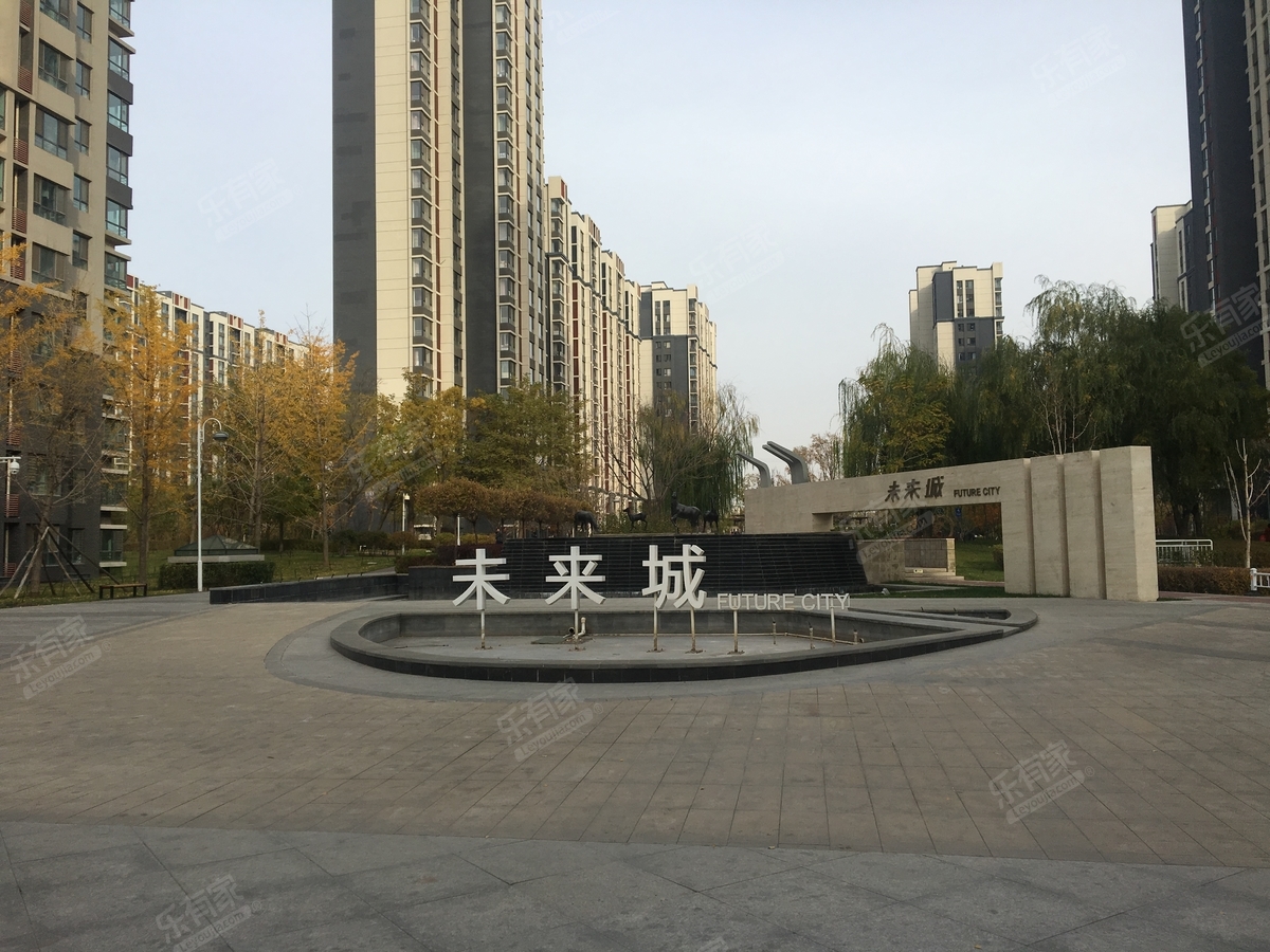 松林店未来城最新动态,适用计划解析方案_网红版45.15.55