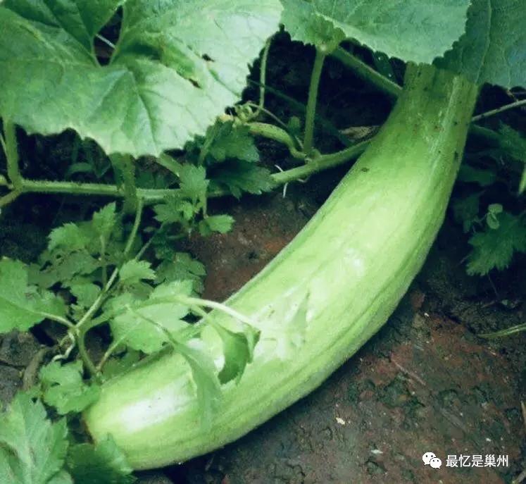 巢湖学院最新校花校草,可靠评估说明_Harmony款40.58.76