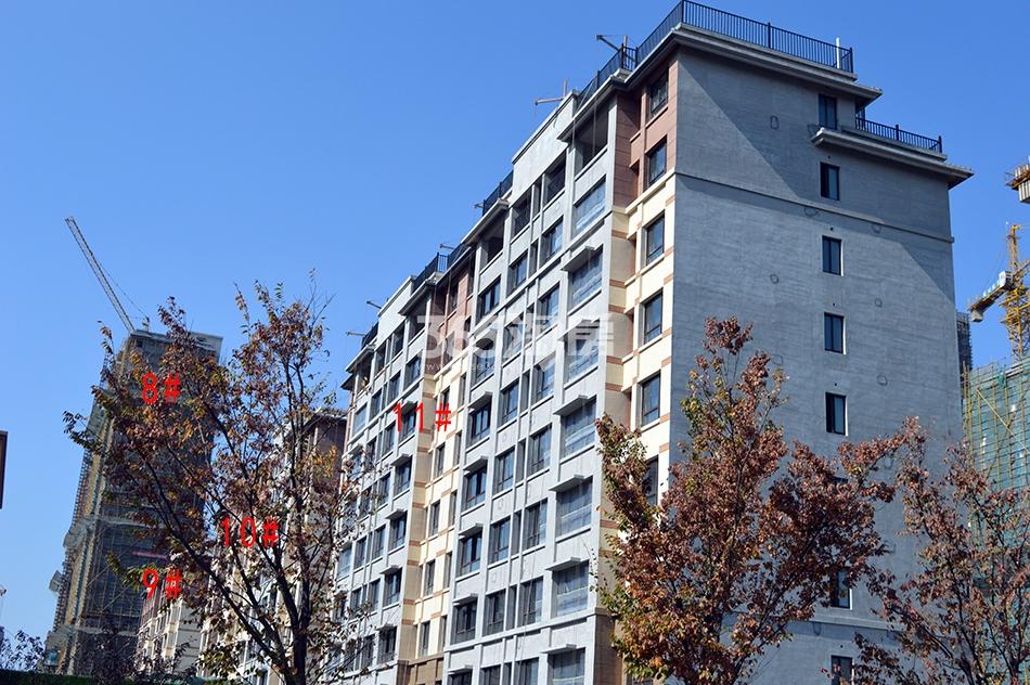 大唐菱湖御庭最新动态,结构化推进评估_复古版59.23.58