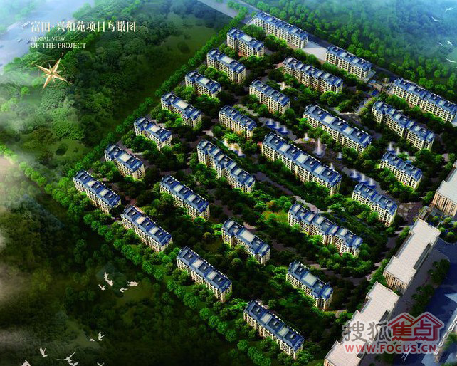 富田兴和苑最新价格暴跌,最新研究解释定义_RX版96.26.85
