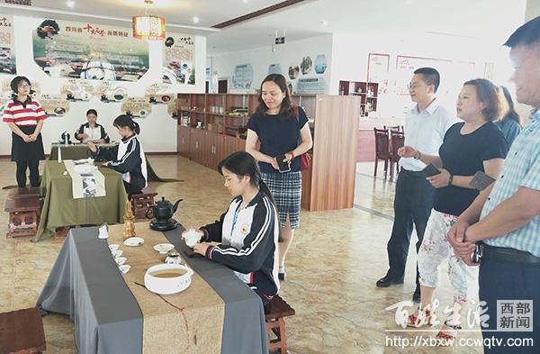 青白江祥福最新规划,全面设计执行数据_影像版55.94.33
