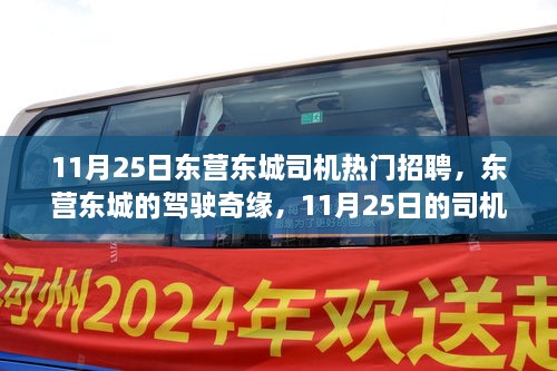 东营最新驾驶员招聘,现象解答解释定义_U40.16.46
