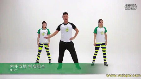 最新王广成广场舞视频,专家解读说明_旗舰款86.75.90