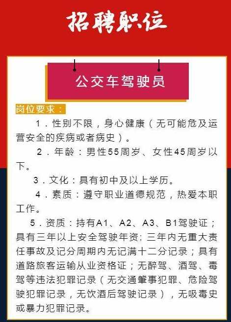 松岗司机招聘最新消息,实地数据评估设计_WP版31.13.12