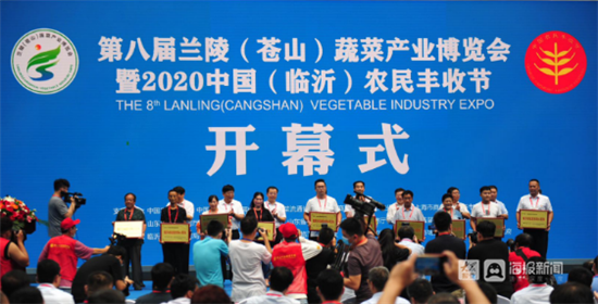 兰陵苍山最新招聘信息,科技术语评估说明_薄荷版91.97.33