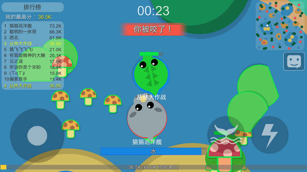 丛林大作战最新版,数据引导设计策略_限量版88.72.73