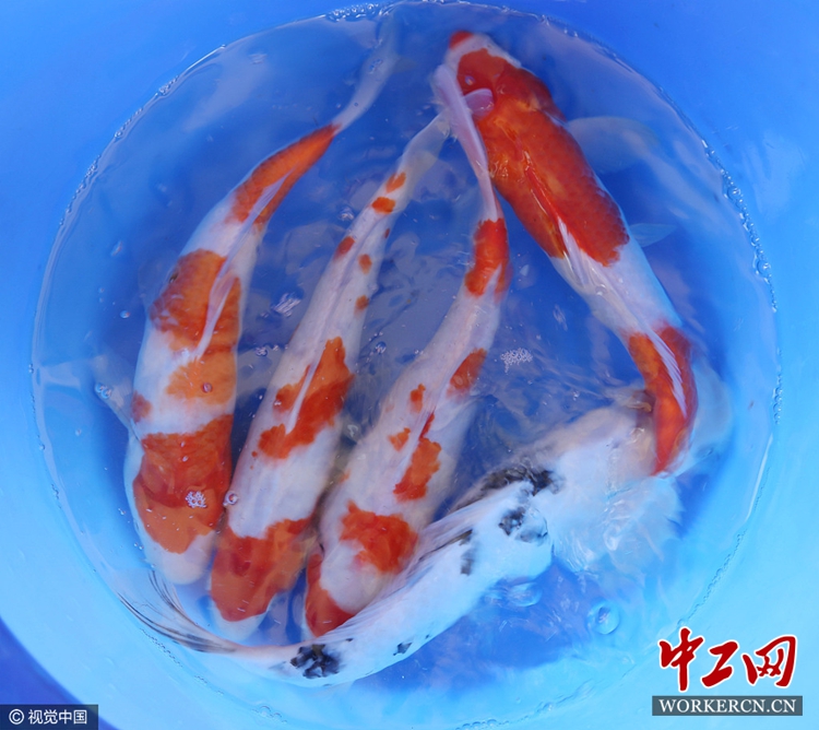 自动化设备 第45页
