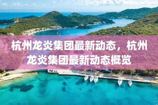 龙炎公司最新动态,迅速设计解答方案_升级版74.99.49
