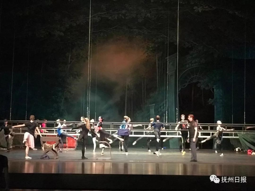 天鹅湖演员,数据导向实施步骤_7DM49.73.36