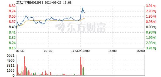 苏盐井神股票,详细解读定义方案_soft72.73.86