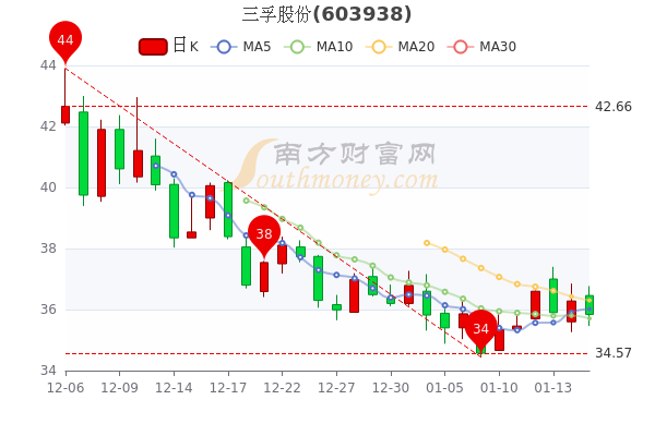 三孚股份股票行情,数据导向方案设计_专家版23.80.63