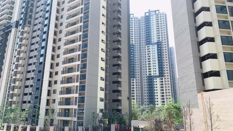 “龙泉二手房市场最新动态”,实际案例解释定义_特供款70.36.12