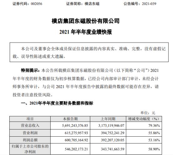 横店东磁股票行情,定量分析解释定义_铂金版68.36.58