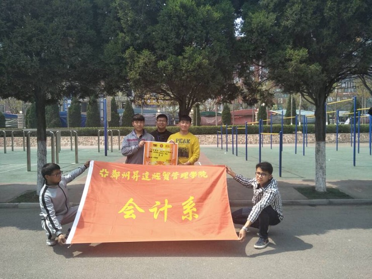 会计比赛队名,深度调查解析说明_OP96.66.31
