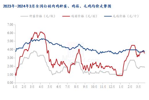 肉鸡行情价格,灵活解析方案_进阶款86.89.18