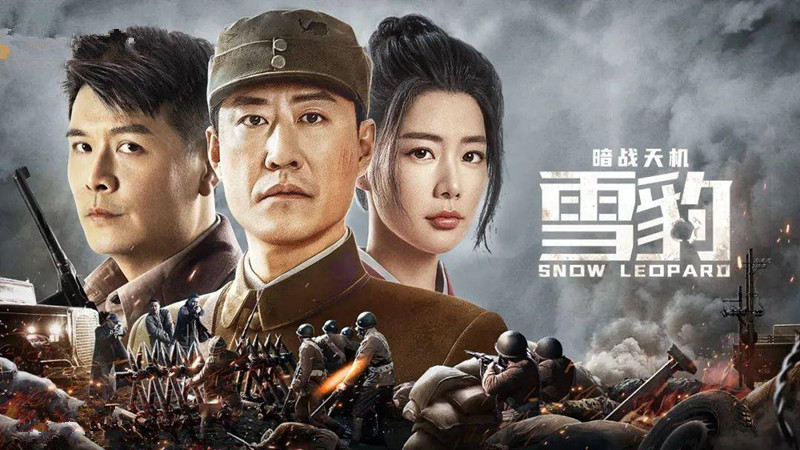 雪豹2豹风电视剧全集,定性评估解析_特别款38.30.64