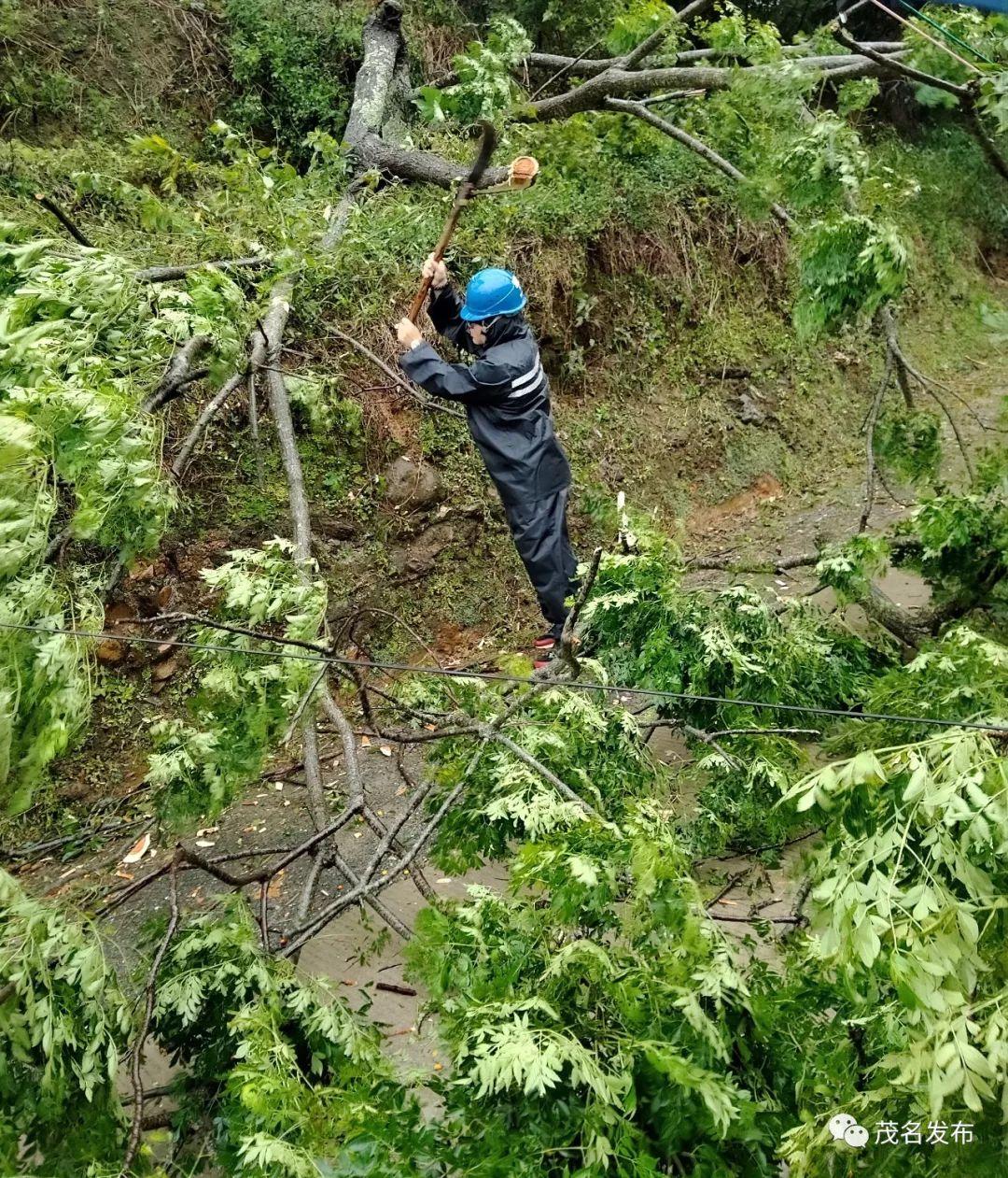 茂名台风最新动态,预测分析解释定义_P版88.40.22
