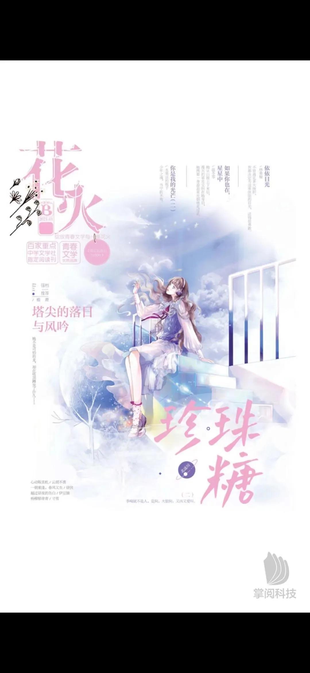 花火杂志最新一期编号,数据决策执行_升级版65.25.10