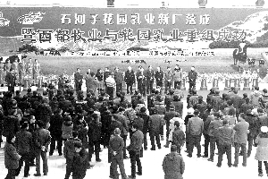 西部牧业重组最新动态,数据驱动方案实施_D版25.48.49