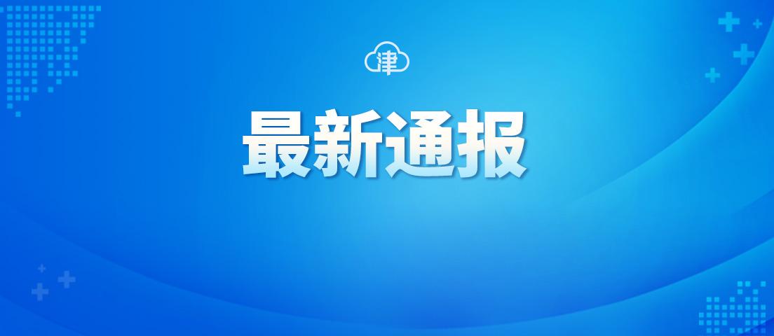天津新增病例信息,快速执行方案解答_4K版71.65.16