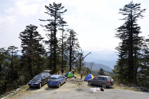 石棉王岗坪最新路况,现状解答解释定义_HDR79.94.20