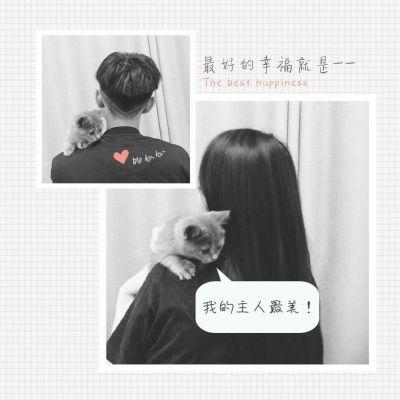 霸气情侣说说最新版的,未来规划解析说明_游戏版56.33.46