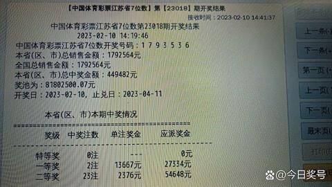 江苏体彩七位数最新开奖结果,江苏体彩七位数最新开奖结果，彩票背后的温情故事