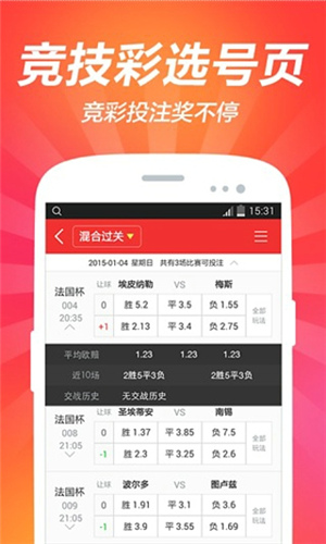 2024年新澳门天天彩开彩结果，绝对经典解释落实_V29.25.49