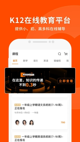 2024新澳门全年九肖资料，准确资料解释落实_V版17.58.6