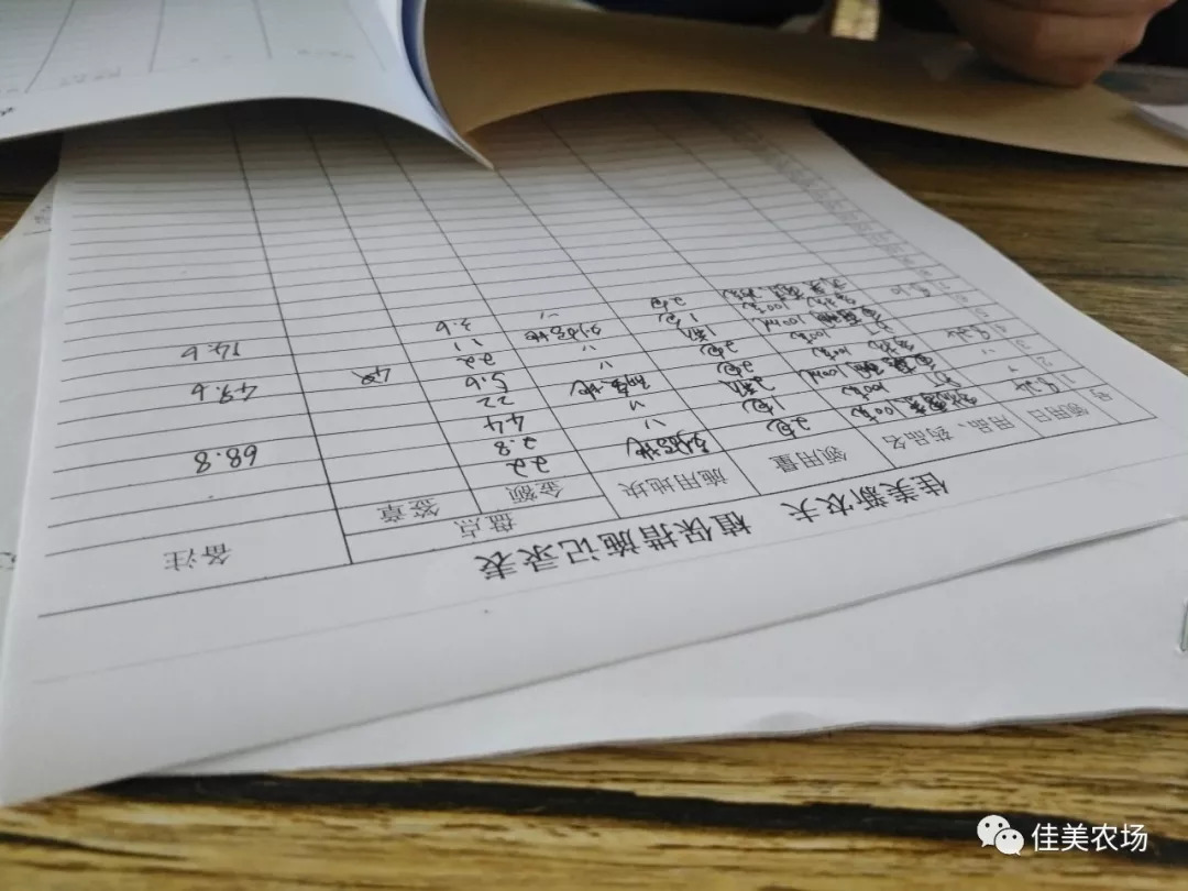 新澳门一码一肖一特一中准选今晚，动态调整策略执行_豪华版73.24.99