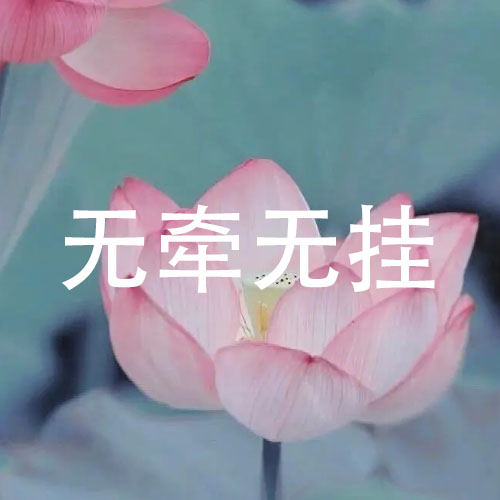 最新带字头像，个性表达的新潮流时尚选择