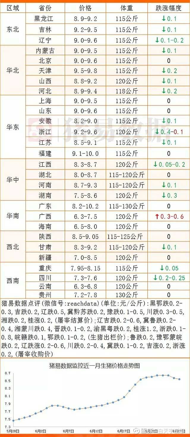 猪价格最新动态及市场走势与影响因素深度分析