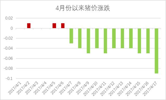 米易最新猪价动态报告与深度分析